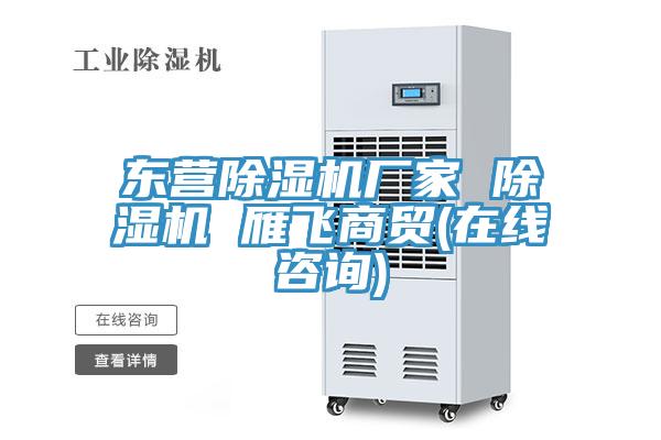 东营除湿机厂家 除湿机 雁飞商贸(在线咨询)