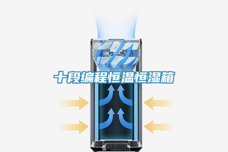 十段编程恒温恒湿箱