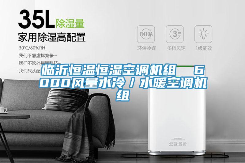 临沂恒温恒湿空调机组  6000风量水冷／水暖空调机组