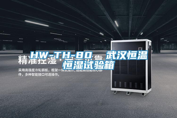 HW-TH-80  武汉恒温恒湿试验箱