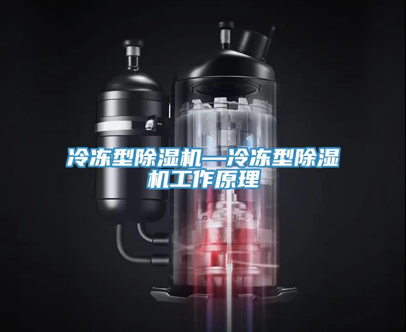 冷冻型除湿机—冷冻型除湿机工作原理
