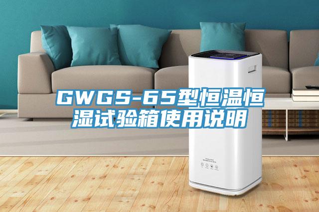 GWGS-65型恒温恒湿试验箱使用说明