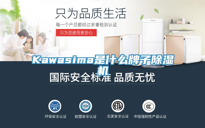 Kawasima是什么牌子除湿机