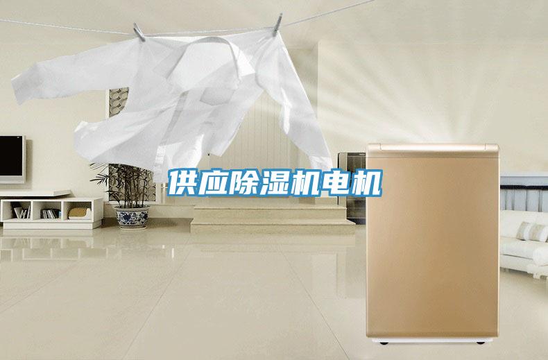 供应除湿机电机