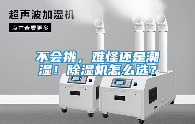 不会挑，难怪还是潮湿！除湿机怎么选？