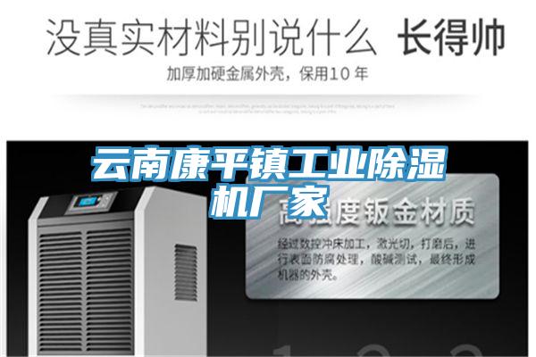 云南康平镇工业除湿机厂家