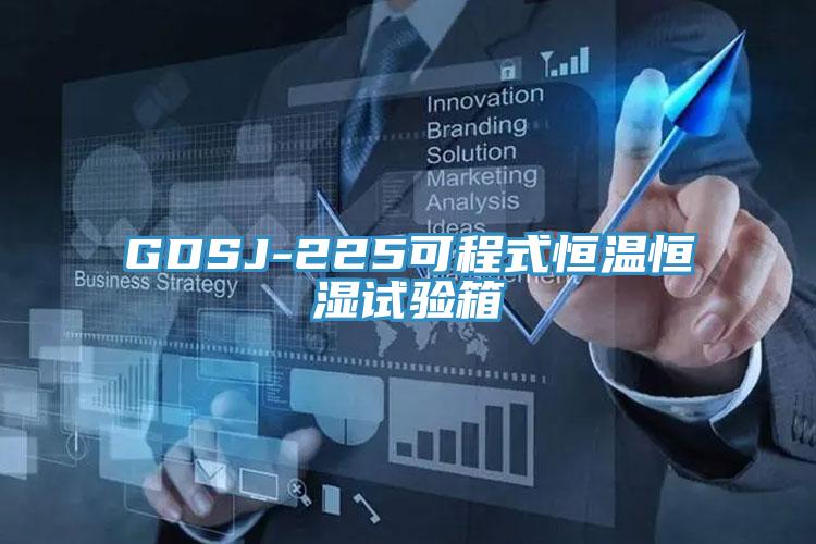 GDSJ-225可程式恒温恒湿试验箱