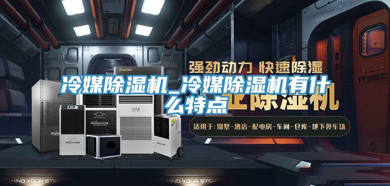 冷媒除湿机_冷媒除湿机有什么特点