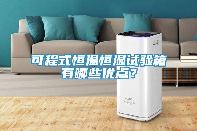 可程式恒温恒湿试验箱有哪些优点？
