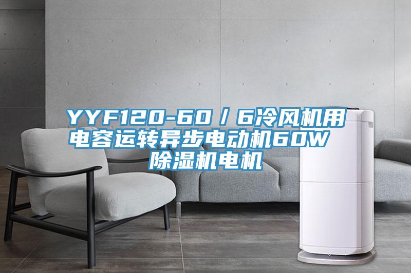 YYF120-60／6冷风机用电容运转异步电动机60W 除湿机电机