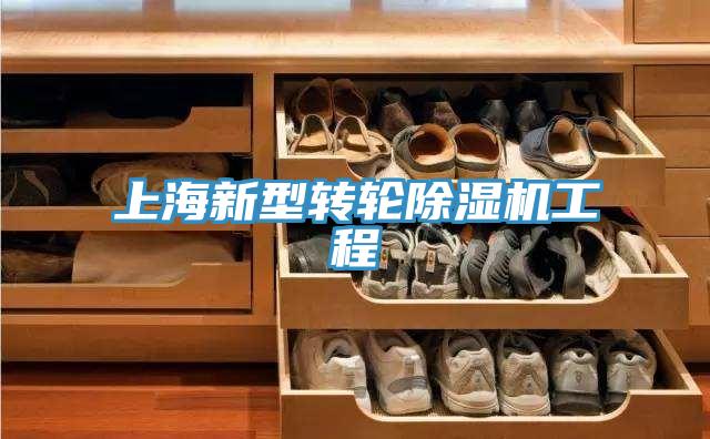 上海新型转轮除湿机工程