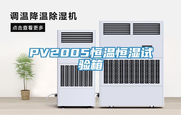 PV2005恒温恒湿试验箱