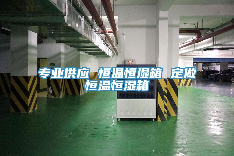 专业供应 恒温恒湿箱 定做恒温恒湿箱