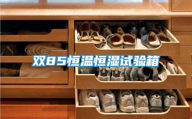 双85恒温恒湿试验箱