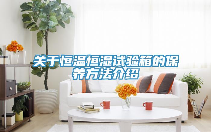 关于恒温恒湿试验箱的保养方法介绍