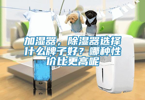 加湿器，除湿器选择什么牌子好？哪种性价比更高呢
