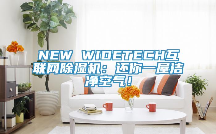 NEW WIDETECH互联网除湿机：还你一屋洁净空气！