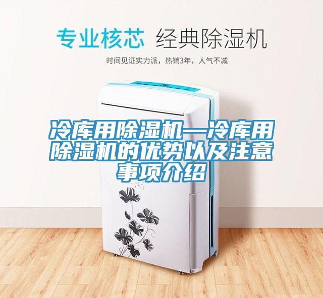 冷库用除湿机—冷库用除湿机的优势以及注意事项介绍