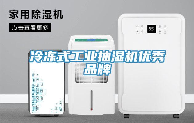 冷冻式工业抽湿机优秀品牌