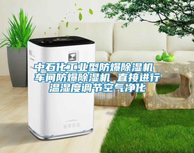中石化工业型防爆除湿机 车间防爆除湿机 直接进行温湿度调节空气净化