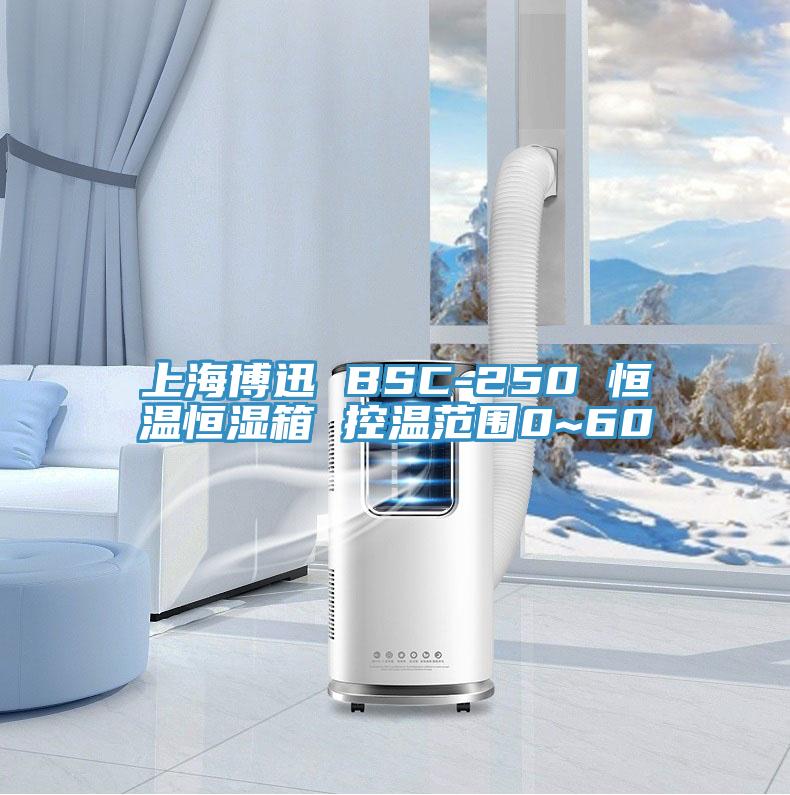上海博迅 BSC-250 恒温恒湿箱 控温范围0~60℃