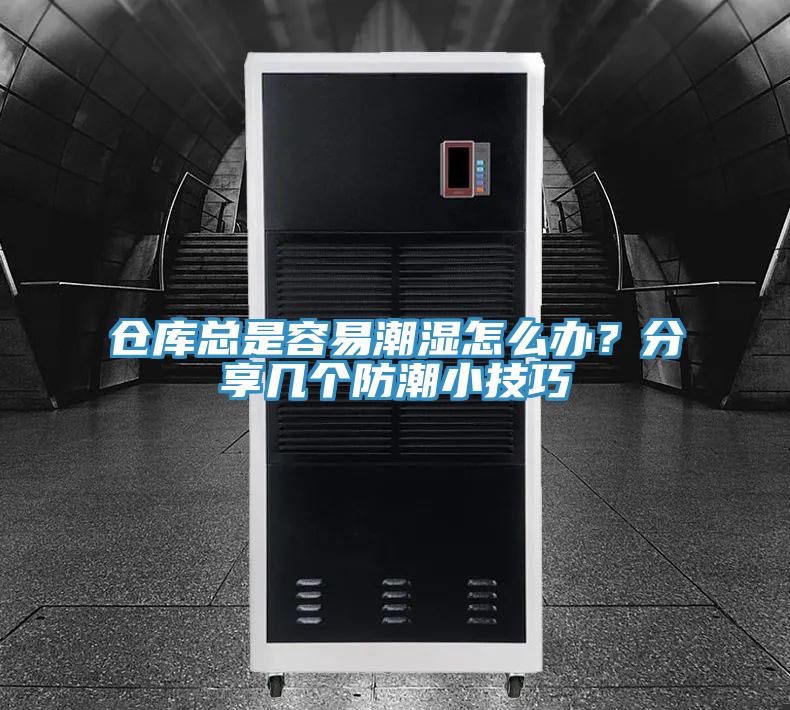 仓库总是容易潮湿怎么办？分享几个防潮小技巧
