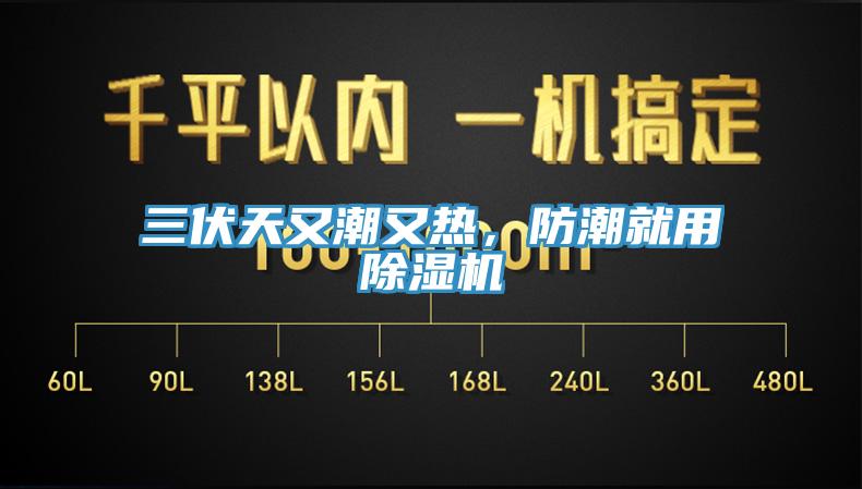 三伏天又潮又热，防潮就用除湿机