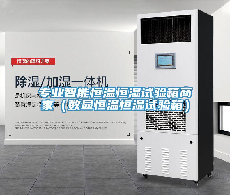 专业智能恒温恒湿试验箱商家（数显恒温恒湿试验箱）
