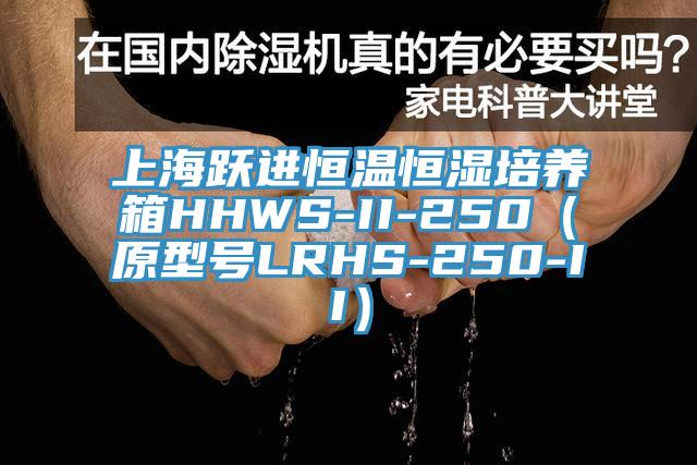 上海跃进恒温恒湿培养箱HHWS-II-250（原型号LRHS-250-II）