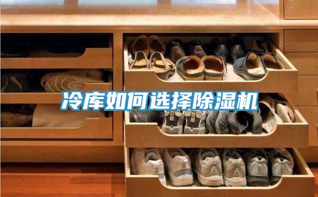冷库如何选择除湿机
