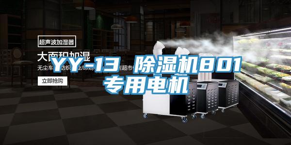 YY-13 除湿机801专用电机