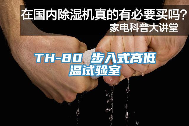 TH-80 步入式高低温试验室