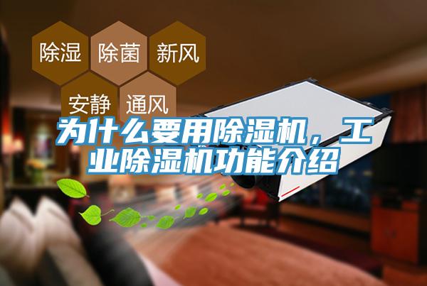 为什么要用除湿机，工业除湿机功能介绍