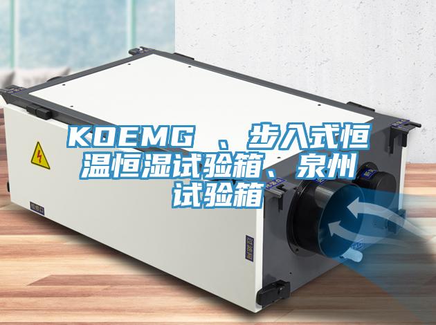 KOEMG 、步入式恒温恒湿试验箱、泉州试验箱