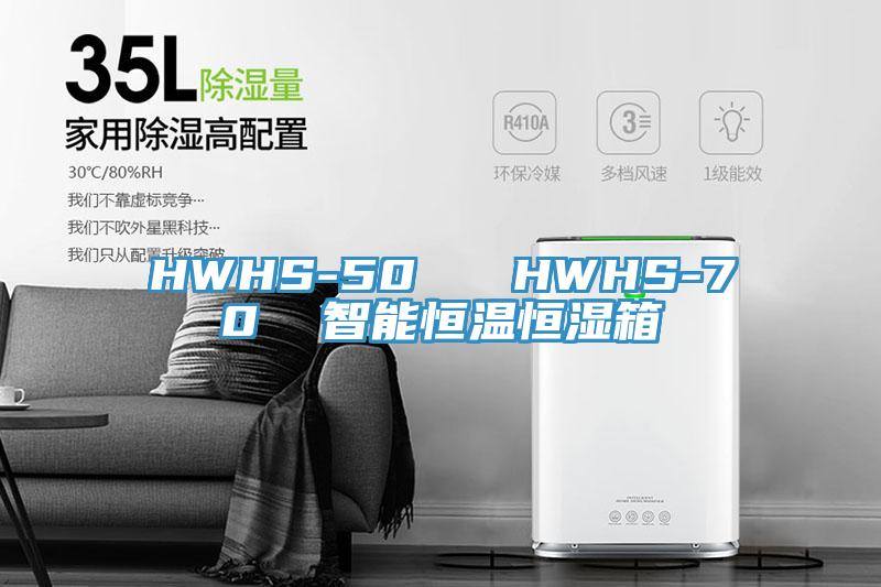 HWHS-50   HWHS-70  智能恒温恒湿箱