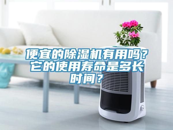 便宜的除湿机有用吗？它的使用寿命是多长时间？