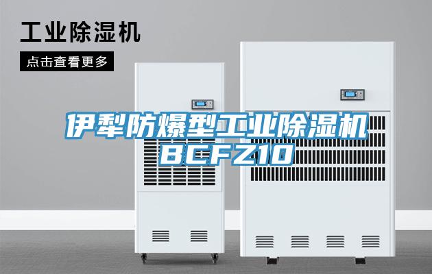 伊犁防爆型工业除湿机 BCFZ10
