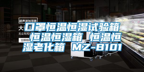 口罩恒温恒湿试验箱 恒温恒湿箱 恒温恒湿老化箱 MZ-B101