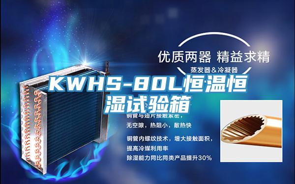 KWHS-80L恒温恒湿试验箱