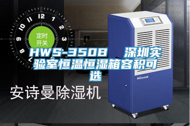 HWS-350B  深圳实验室恒温恒湿箱容积可选