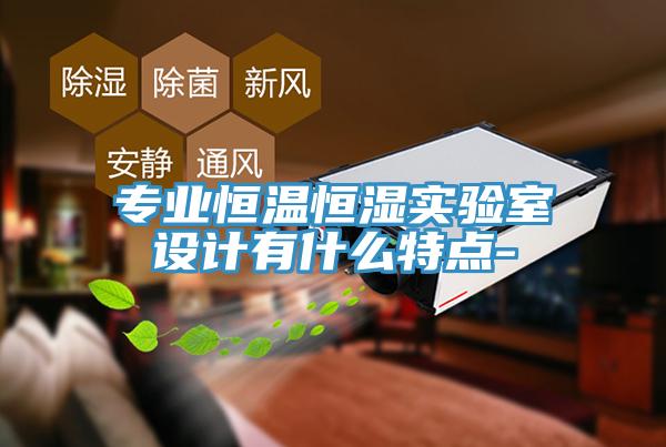 专业恒温恒湿实验室设计有什么特点-