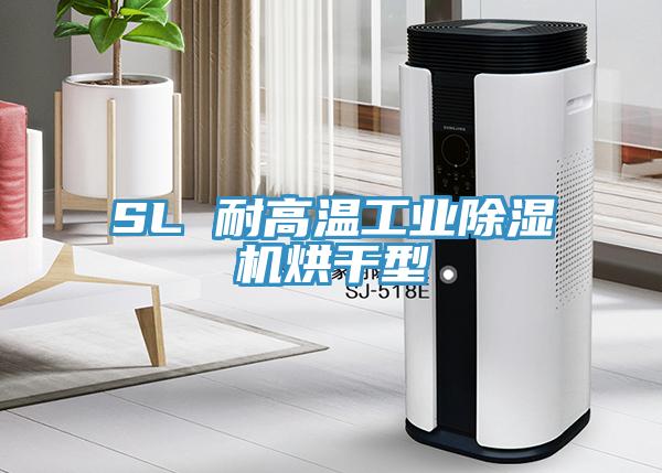 SL 耐高温工业除湿机烘干型