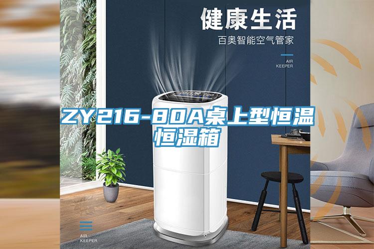 ZY216-80A桌上型恒温恒湿箱