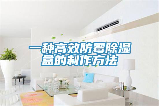 一种高效防霉除湿盒的制作方法