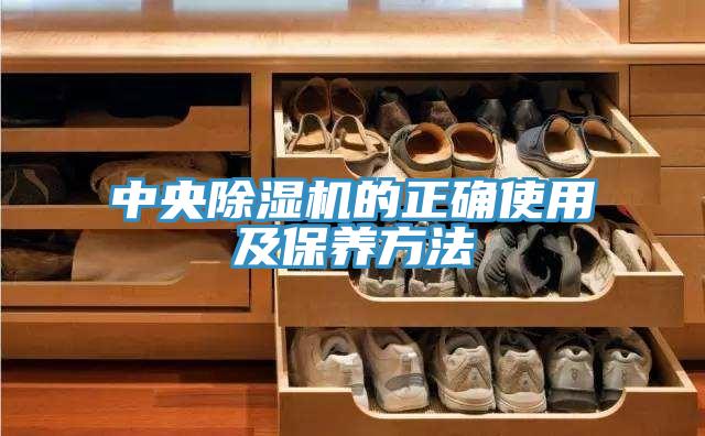 中央除湿机的正确使用及保养方法