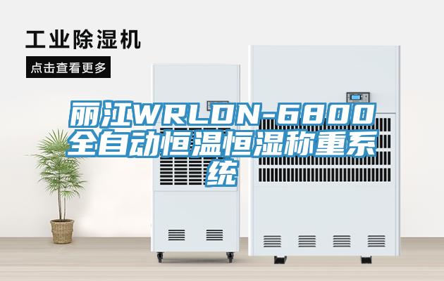 丽江WRLDN-6800全自动恒温恒湿称重系统