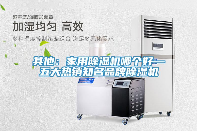 其他：家用除湿机哪个好—五大热销知名品牌除湿机