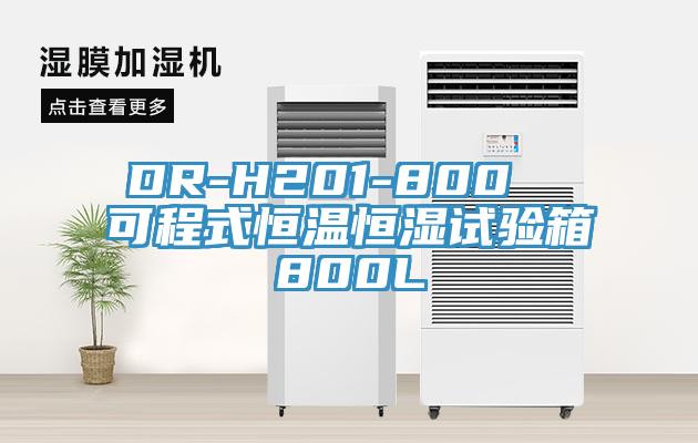 DR-H201-800  可程式恒温恒湿试验箱800L