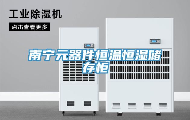 南宁元器件恒温恒湿储存柜