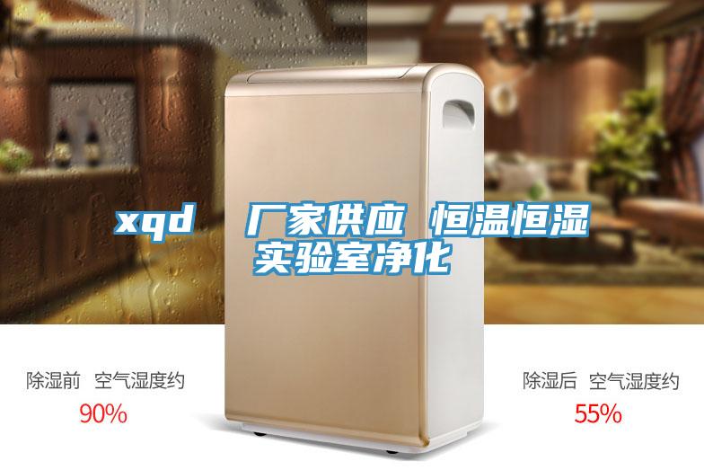 xqd  厂家供应 恒温恒湿实验室净化